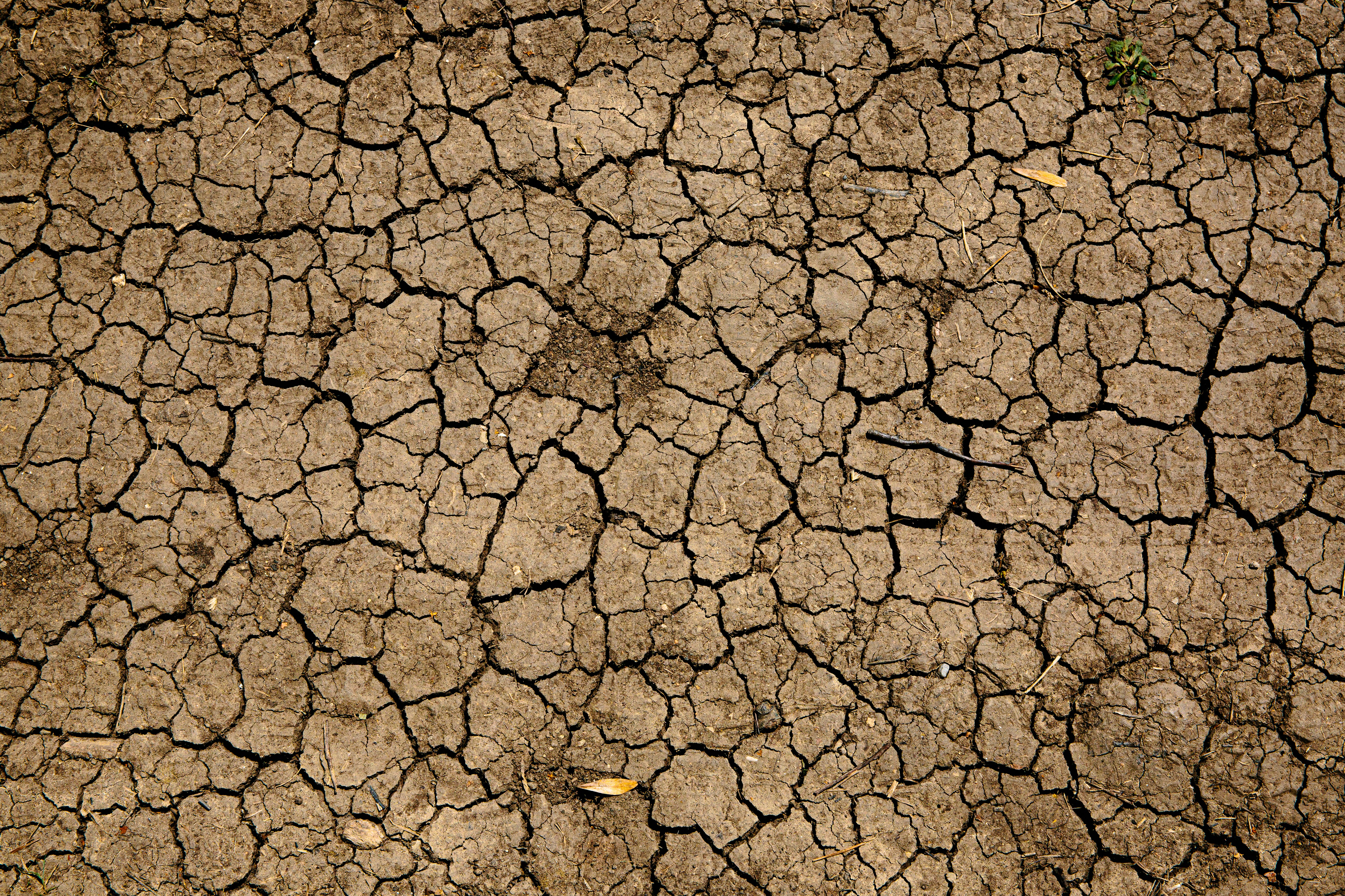 Klimaschutzförderung für Kommunen in Mecklenburg-Vorpommern